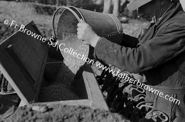 SOWING WINTER WHEAT MACHINE